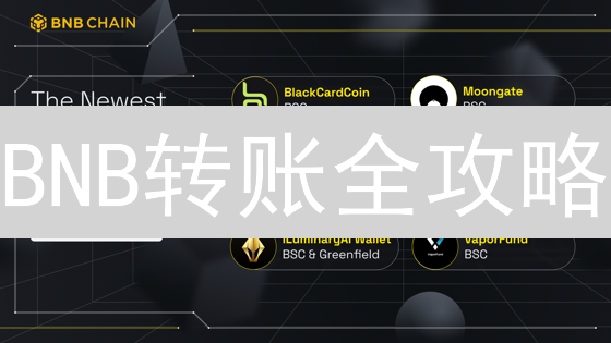BNB转账全攻略：如何安全地将币安币转入你的钱包？避免资产丢失！