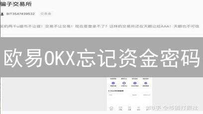 欧易OKX忘记资金密码？别慌！安全重置，资产无忧！